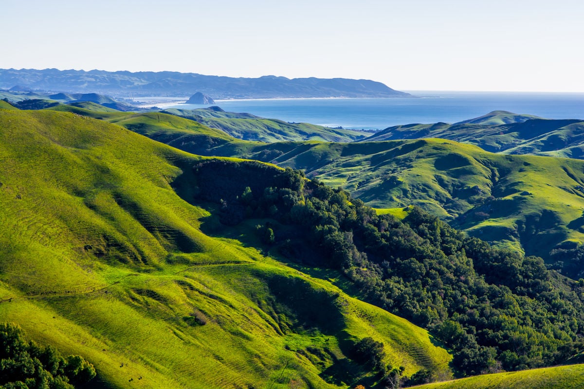 Vibrant green landscapes and blue waters of Morro Bay, California