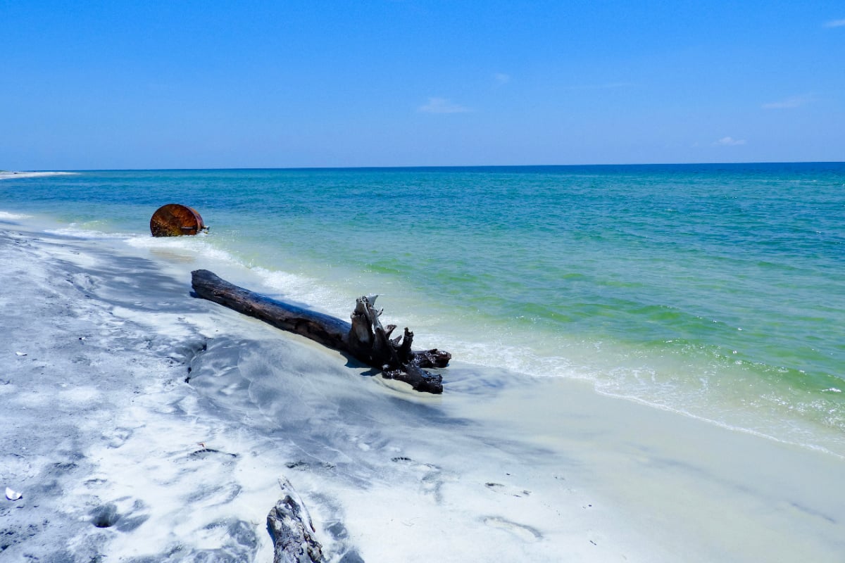 Driftwood on Ship Island